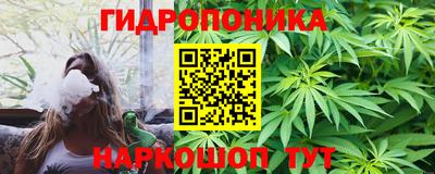 индика Донецк