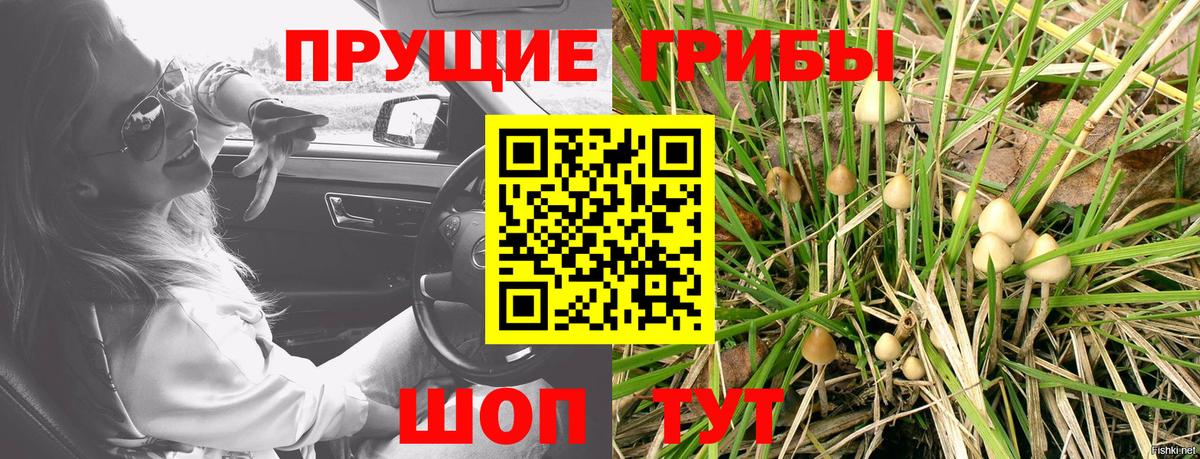 Нарткала  Галлюциногенные грибы мухоморы  Вход с VPN 