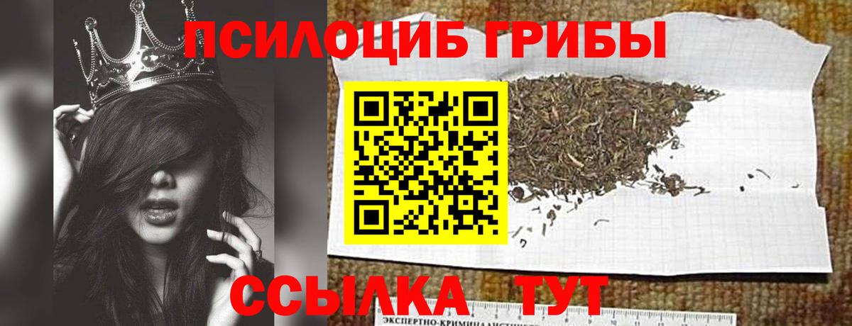 Псилоцибиновые грибы Cubensis Нарткала